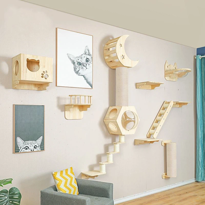 حیوانات خانگی عشق